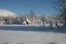 Winter 2010/11
